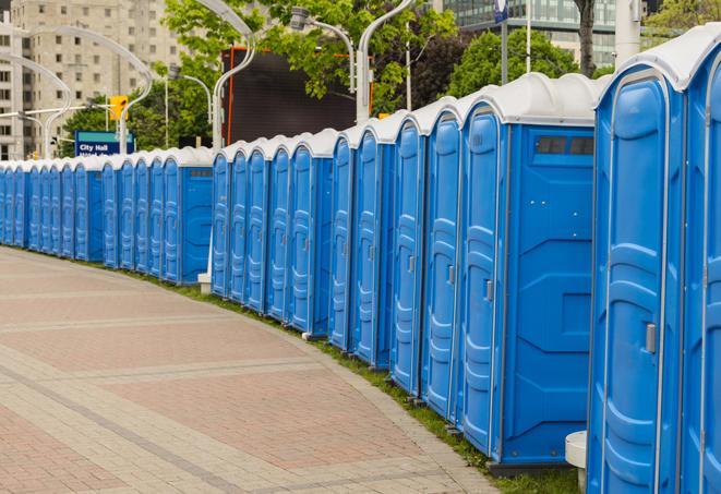 Seasonal porta potty units set up at a Morristown, Tennessee venue